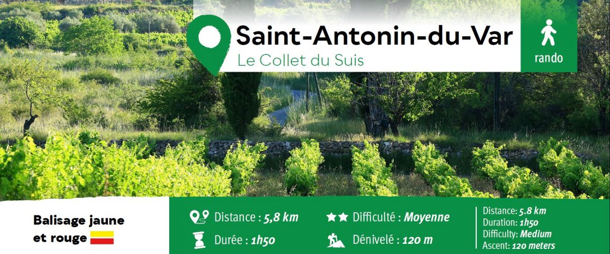 25-saint-antonin-collet-du-suis-dracenie-provence-verdon
