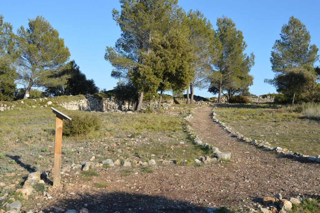 taradeau-oppidum_17